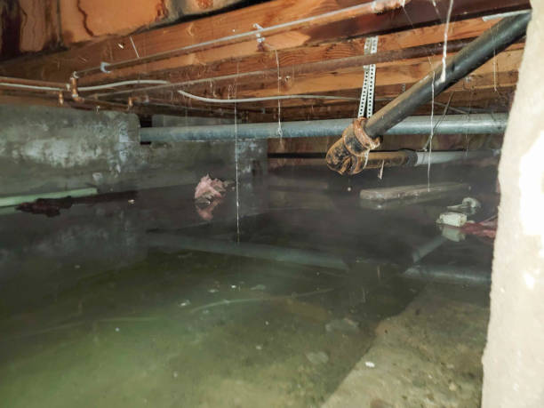 Best Local water damage restoration  in Uvalde, TX