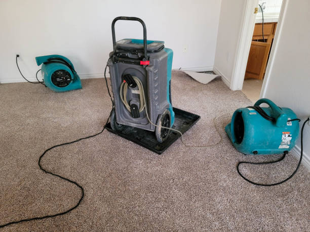 Best Water damage cleanup near me  in Uvalde, TX