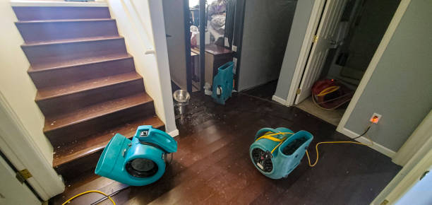Best Mold removal after water damage  in Uvalde, TX